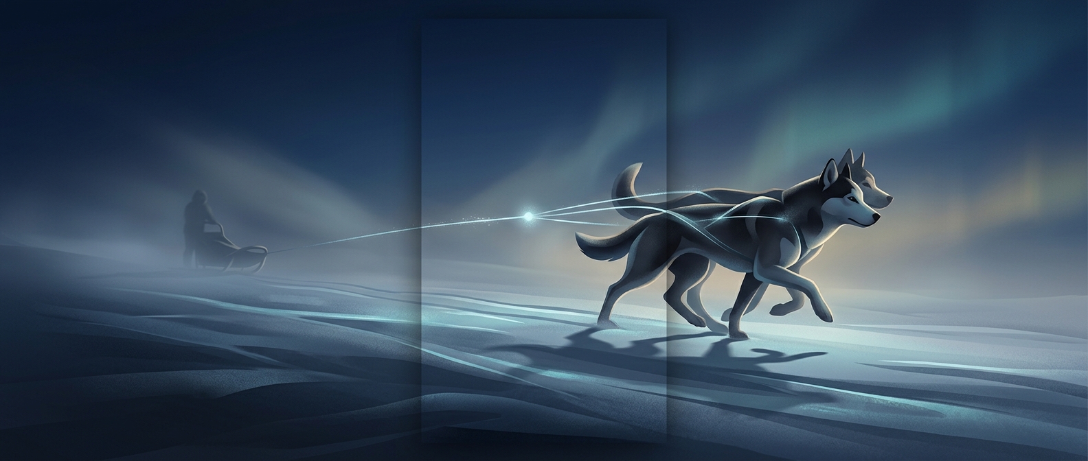 Sled dogs run in pairs to perfectly balance pulling effort