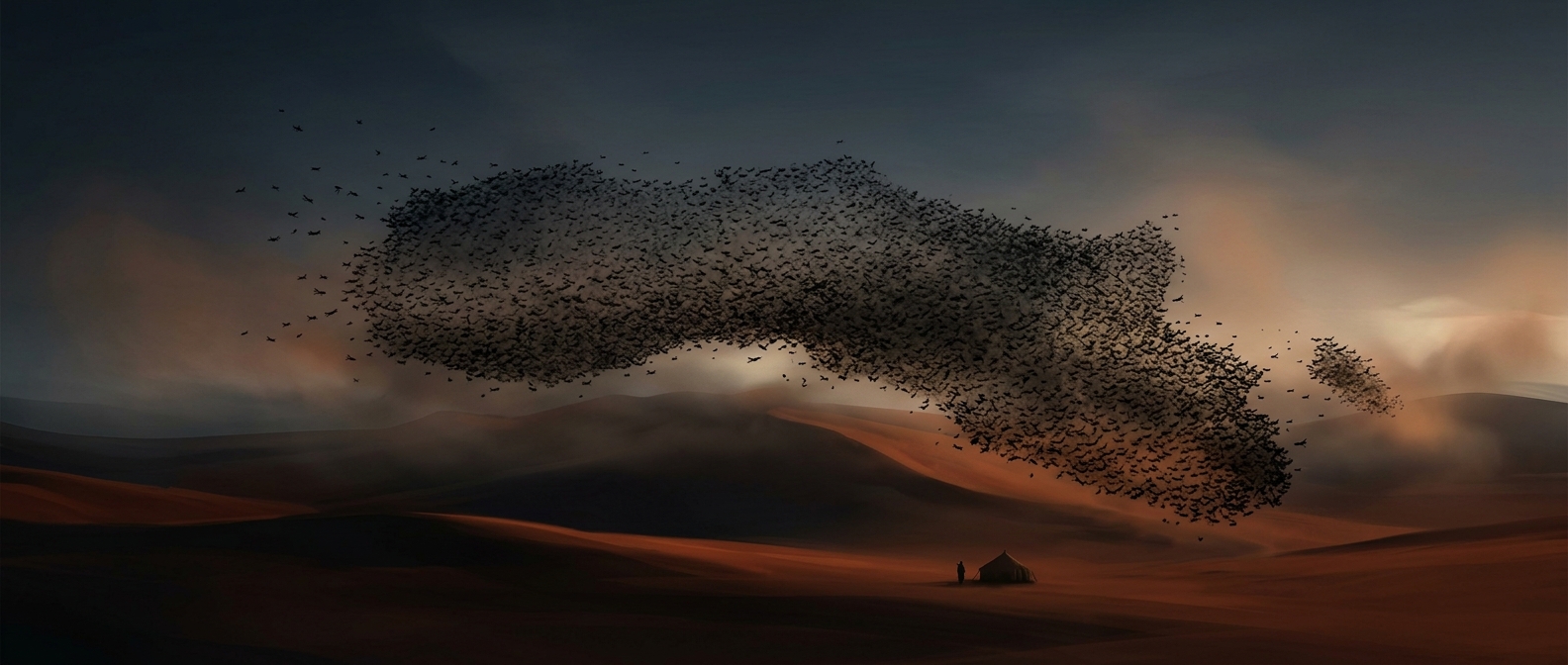 How grasshoppers turn into locust swarms