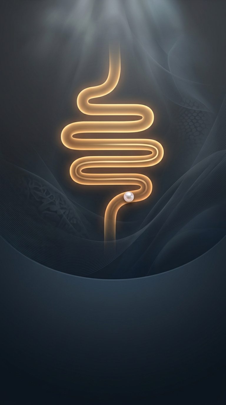 Проглоченная жевательная резинка не остается в вашем пищеварительном тракте на семь лет, так как человеческий организм просто проводит неперевариваемую основу из синтетического…