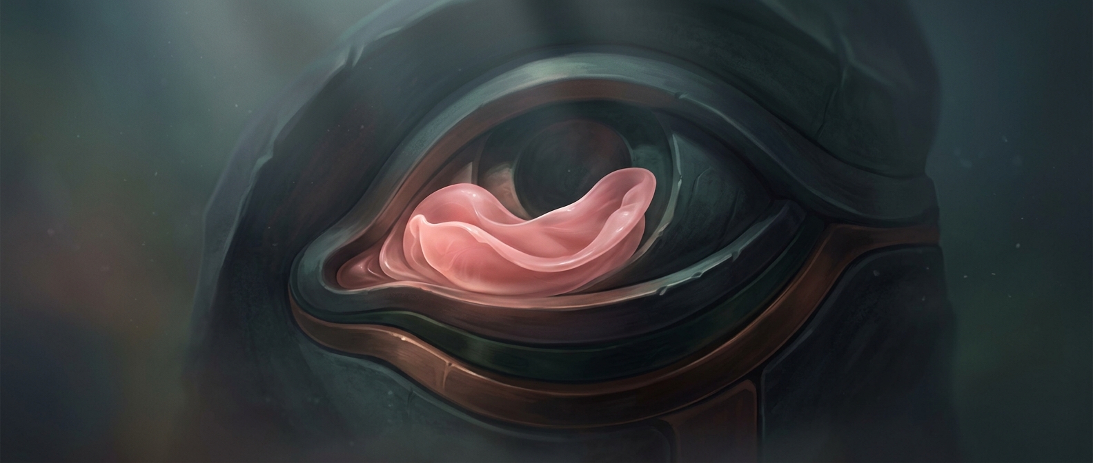 The tiny remnant of a third eyelid in your eye