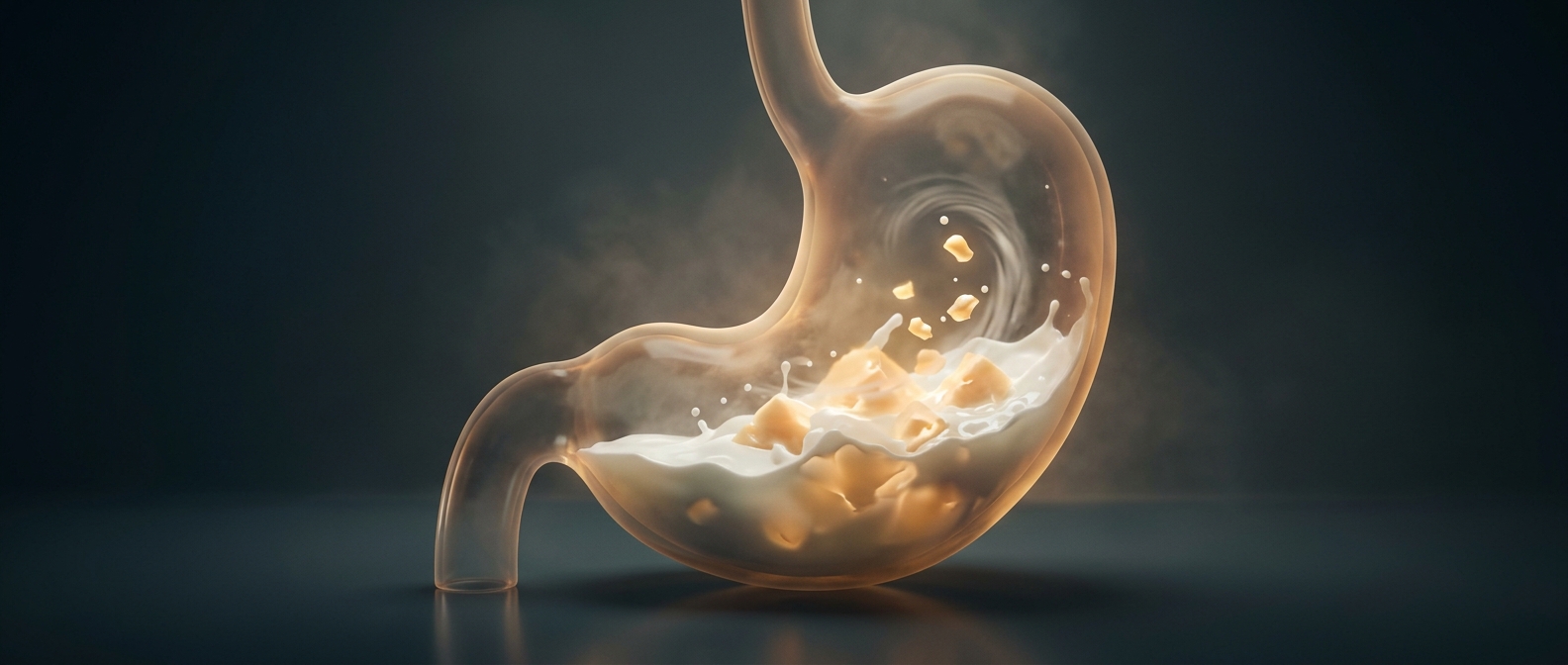 How animal stomachs helped invent cheese