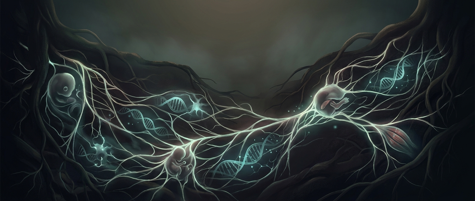 Why mushrooms are closer to animals than plants