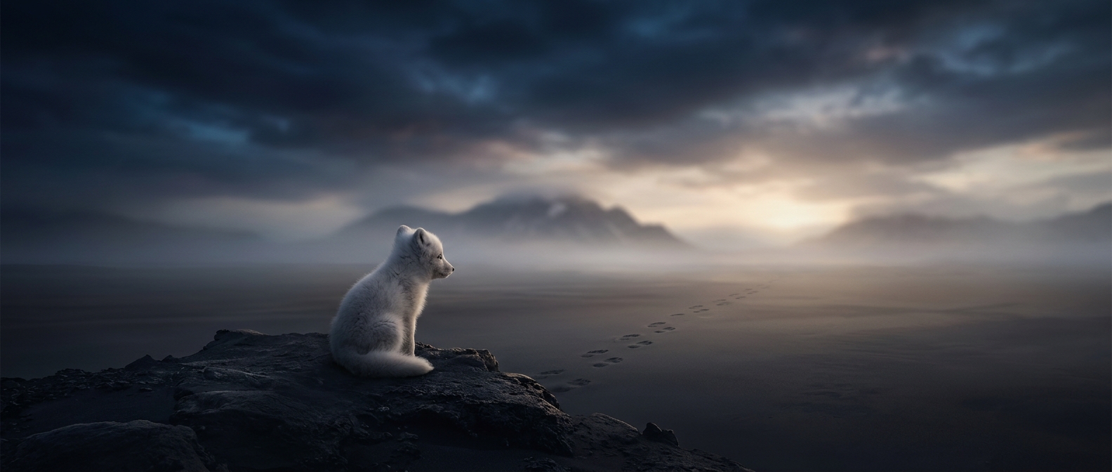Cute baby animals exist solely to get separated