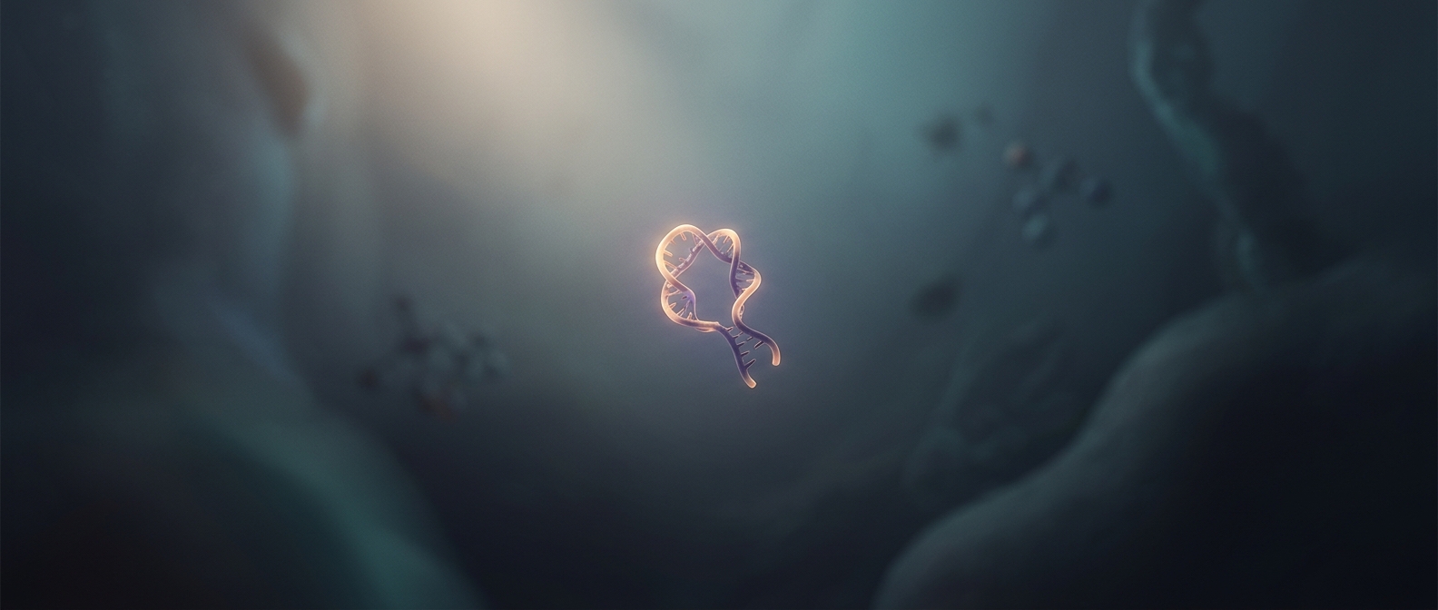 RNA evolved into a tiny loop that replicated faster