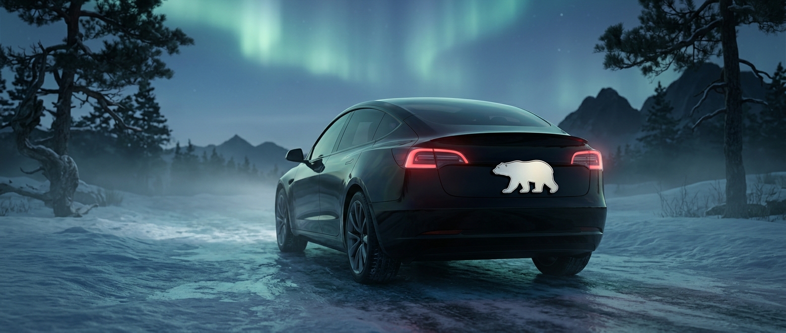 Canada's polar-bear license plates are shaped like bears