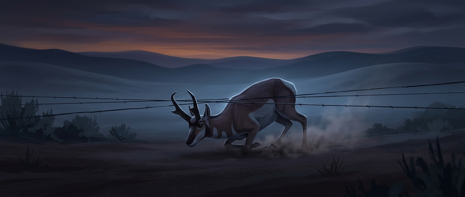 The fast antelope that crawls under fences