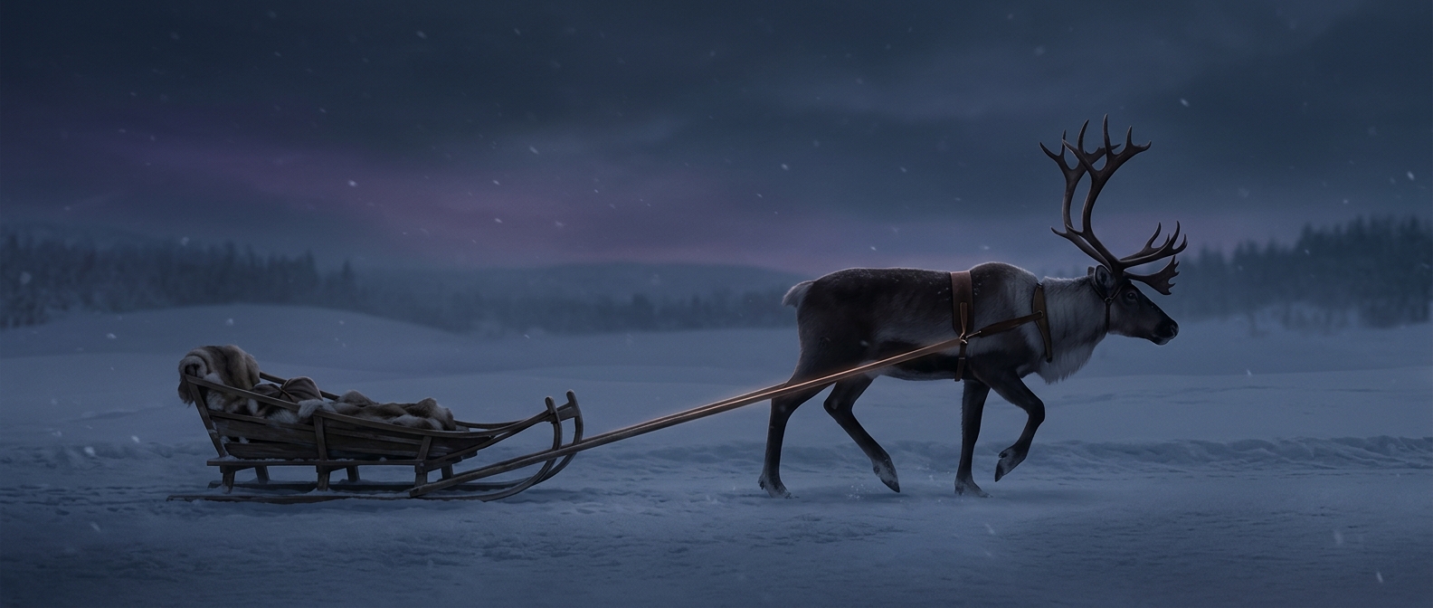 Reindeer sleds use a single trace tied between the legs