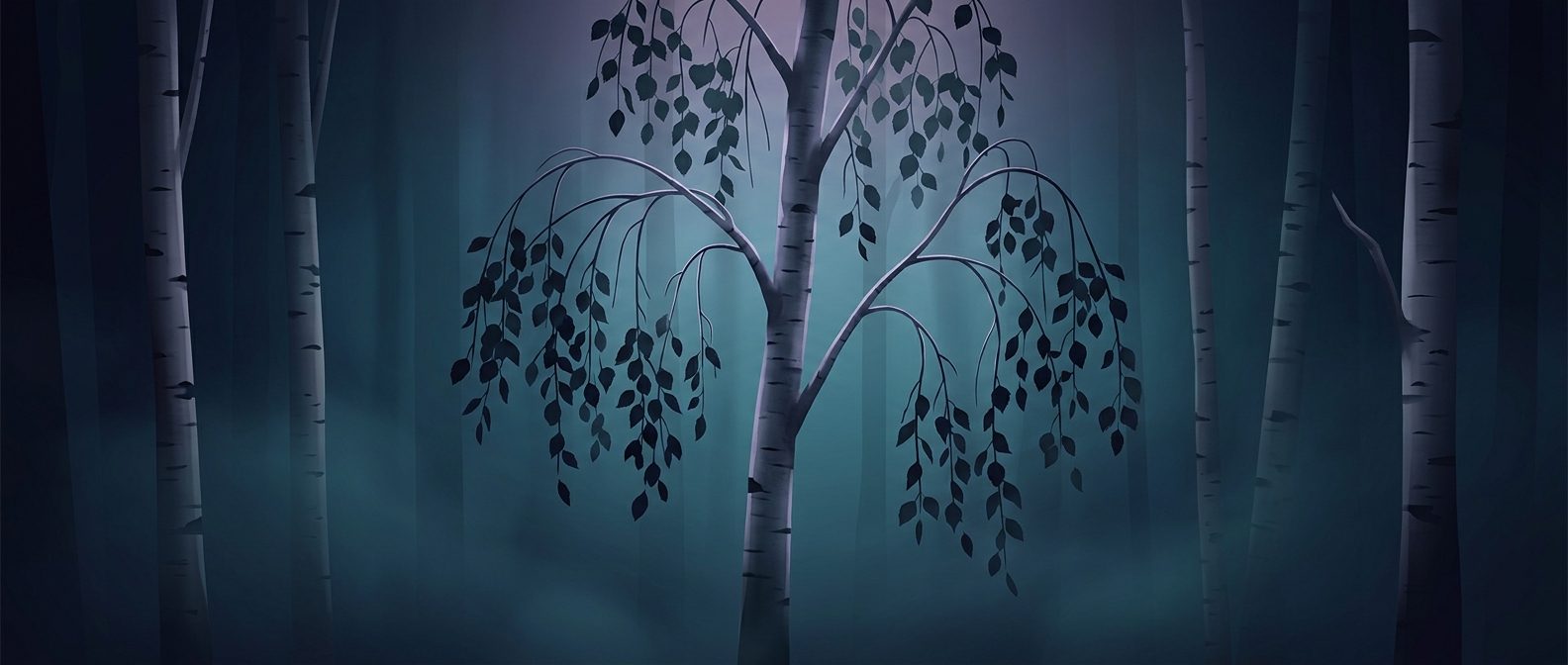 Birch trees droop while you sleep