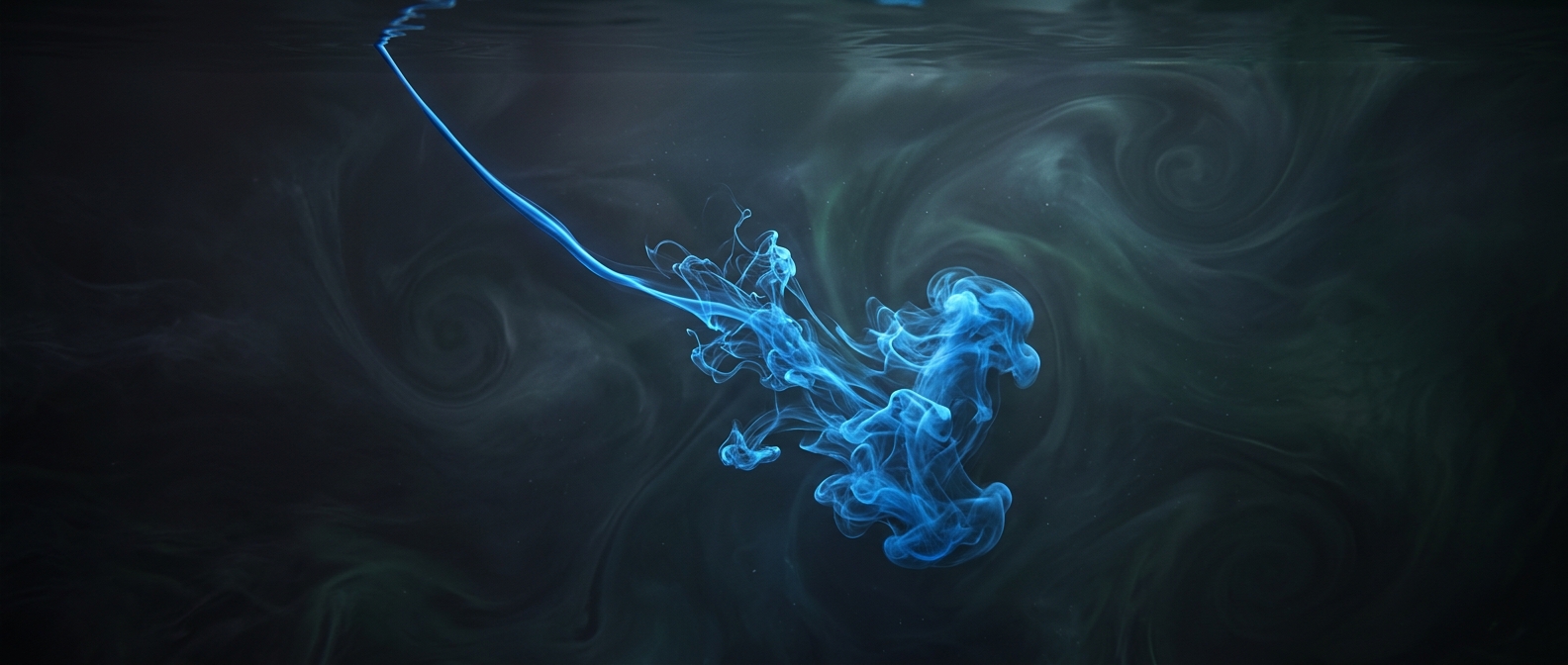 Defining chaotic fluid dynamics with a tiny stream of dye